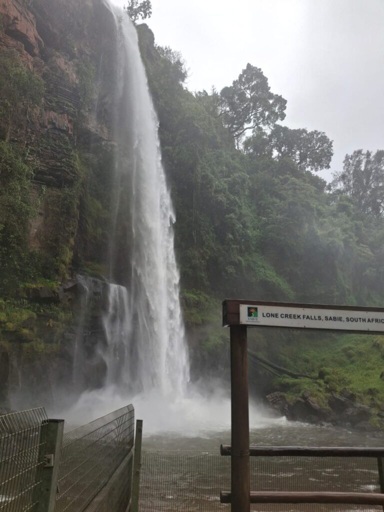 whatsapp image 2025 12 04 at 12.11.06